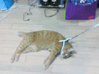 daily dose of misinformation on visual libraries and&nbsp;studying